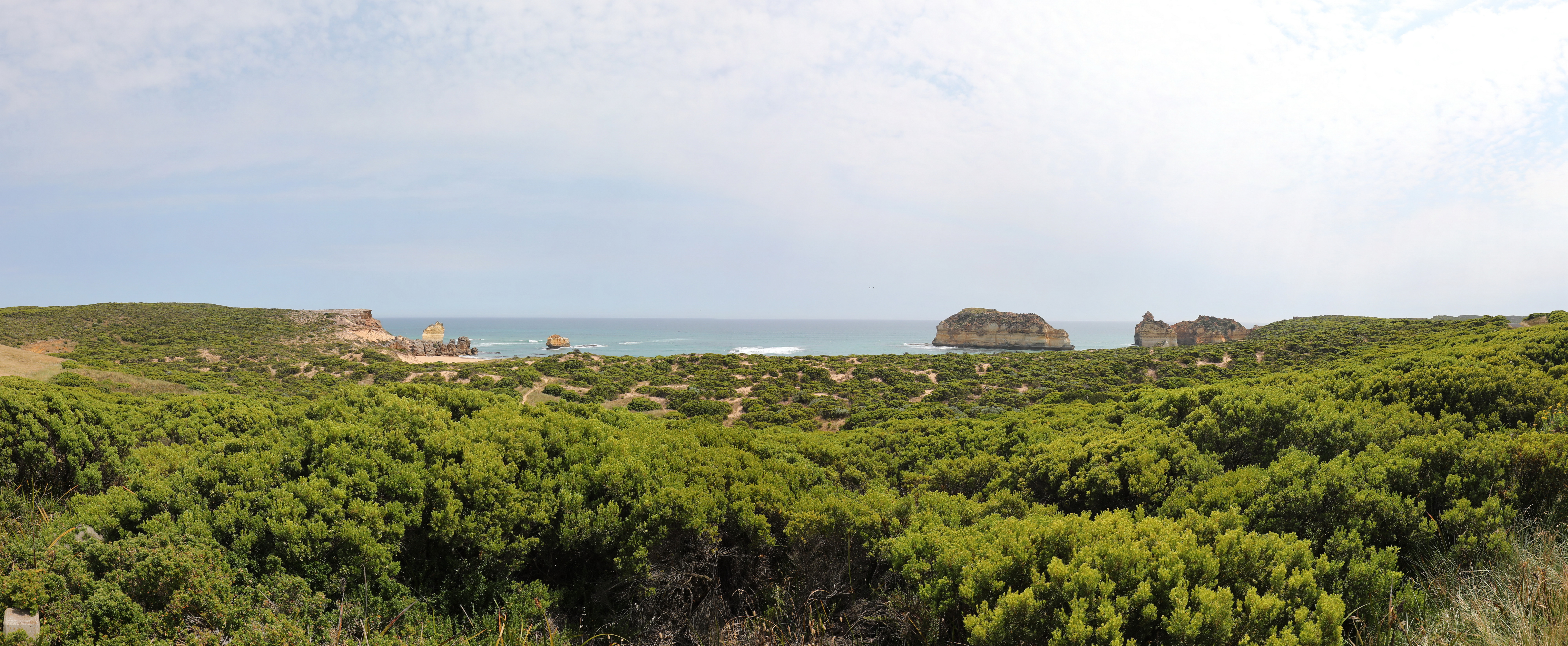 2019 12 17 15 17 28 Canon EOS 5D Mark IV 0025